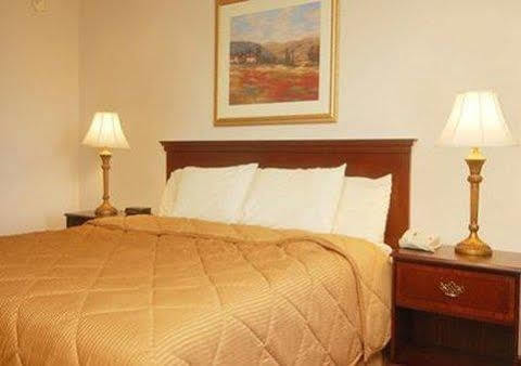 Executive Inn And Suites エンタープライズ エクステリア 写真